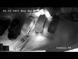 Новосибирец расстрелял свою соседку на паркое