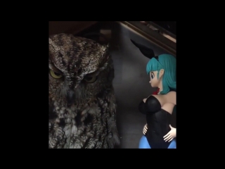 Owl and figurine