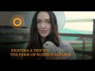 Kristina a trip to the farm of russian alpacas