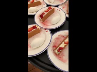 Instagram stories amanda caroline cronin