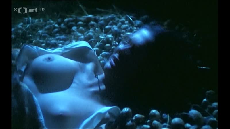 Klara issova, deana horvathova, yvetta kornova, sandra pogodova, jana svandova nejasna zprava o konci sveta (1997) hd 1080p