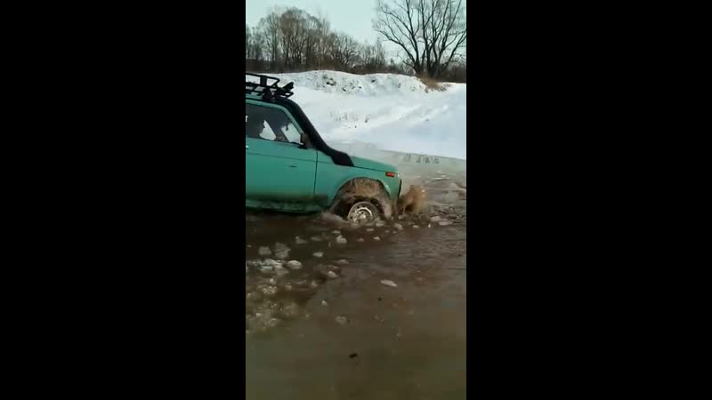 Нива ледокол