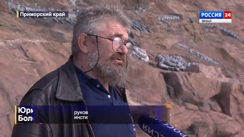 В приморье 18 летний мальчик нашел останки динозавра