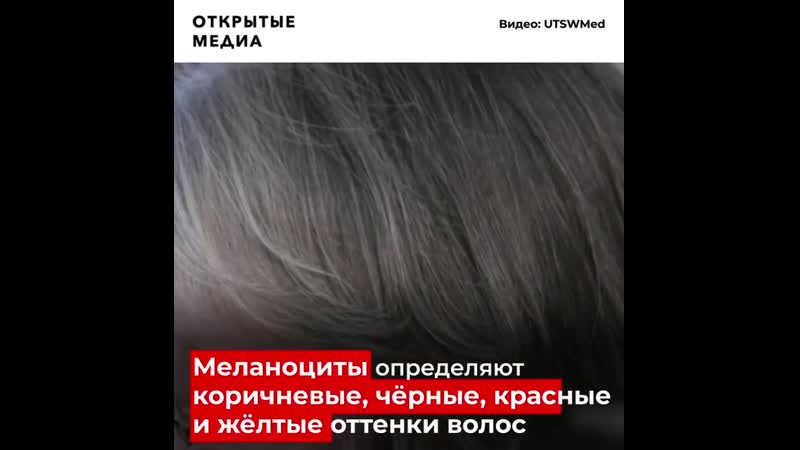 Учёные впервые доказали связь стресса и седых волос