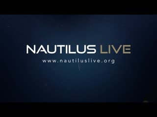 Sinuous asperoteuthis mangoldae squid filmed alive for first time nautilus live