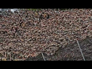 Karlsruher sc dynamo dresden ( 13/5/2017 )