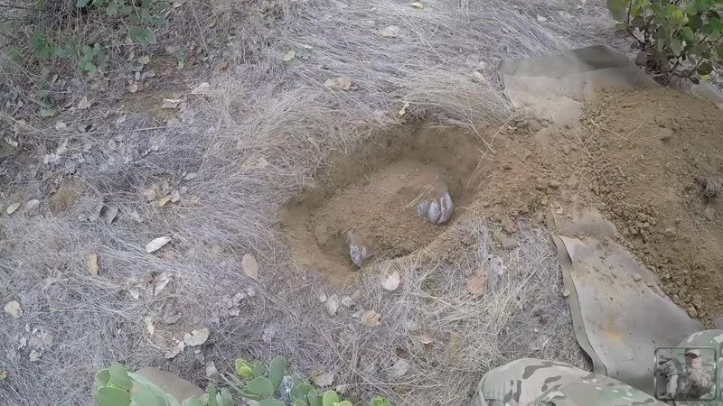 [я prepper] почтовый ящик выживальщика