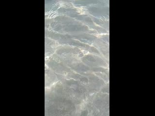 Vid 20200627 165148 mp4