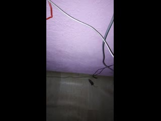 Vid 20191022 231054 3gp