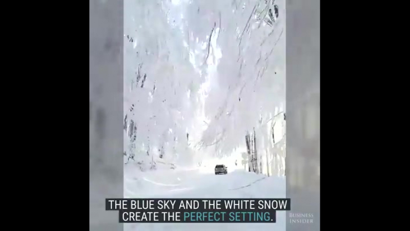 Зіма ў грузіі