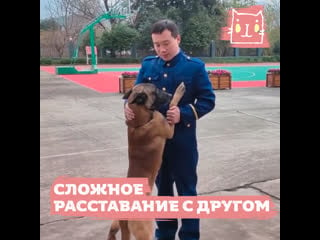 Сложное расставание с другом