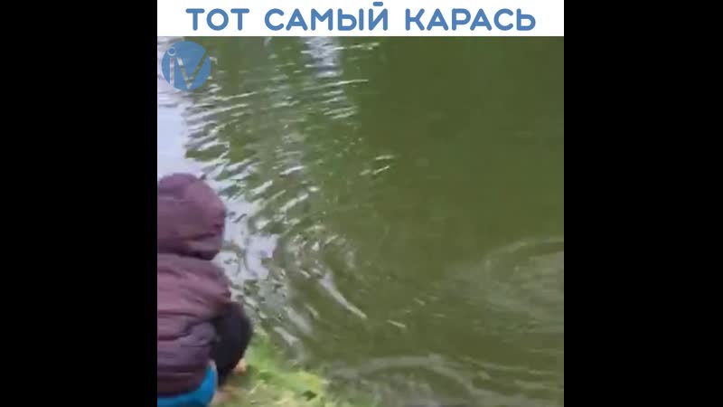 Это тот самый карась [18+]