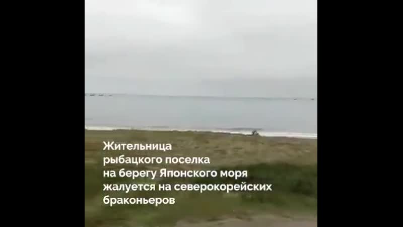 Браконьеры