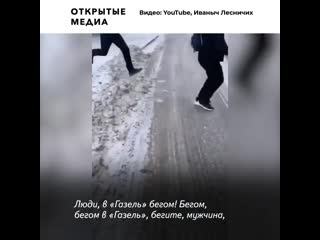 В нижневартовске медведь разгуливал по улицам и бросался на прохожих