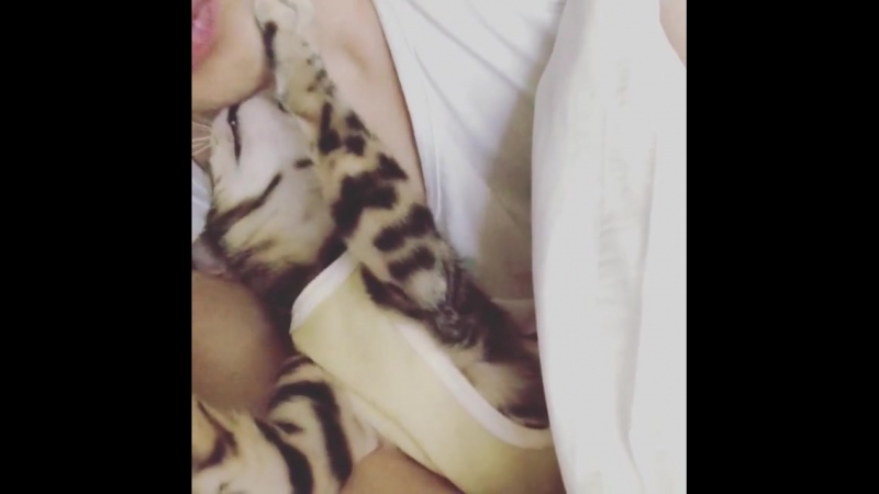 Ig jj 1986 jj (ким джэджун и его крошка)