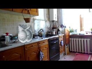 Жсу #5 "летние похождения ленивой жопы"