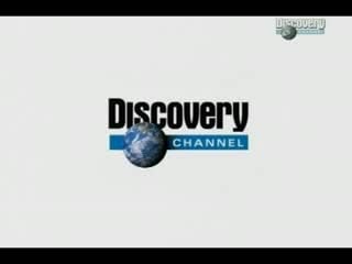 Дао инь (discovery)