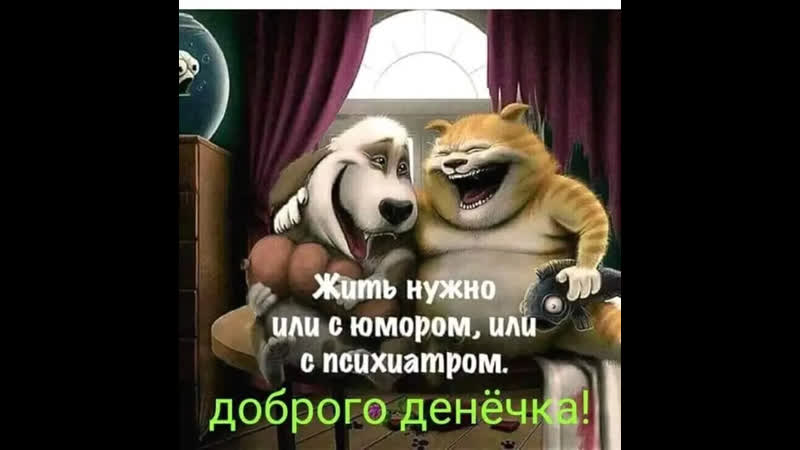 Юмор соблюдайте дистанцию ♛😜► прикол ◄╬₪🤣😉●👍🏻 💯♛