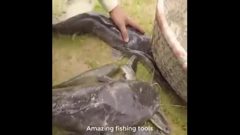 Ловля рыбы на «живца» )))