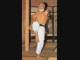 Tohyama seiko sensei uechi ryu 10º dan kata sanseiryu