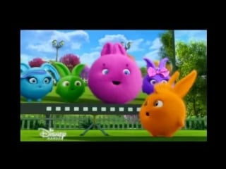 Солнечные зайчики| sunny bunnies "селфи"