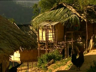 Страсти по насекомым 1 13 "беспозвоночные изобретатели" / insecta 1 13 "invertebrate inventors"