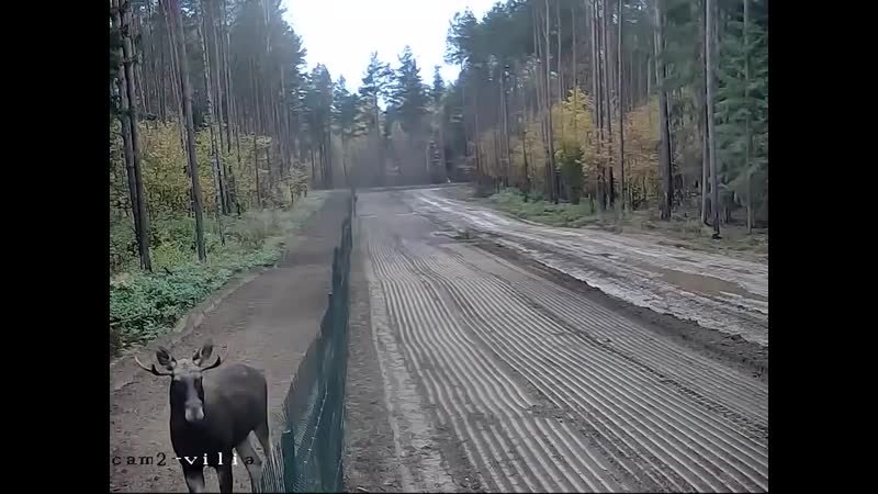 Государственная граница