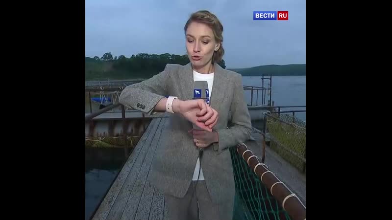 Белух и касаток начали выпускать из китовой тюрьмы