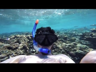 #followmeto seychelles!