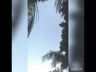 Незабываемый кусочек осени☀️