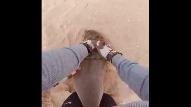 Молодые чувствуют доброту