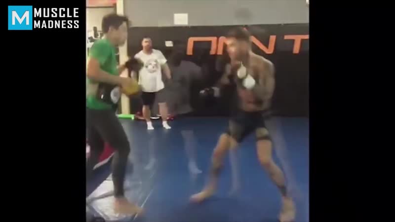 From prospect to ufc champion cody garbrandt muscle madness