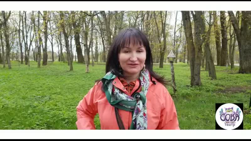 Летим с совой
