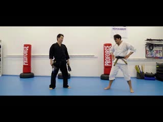 Rhee brothers taekwondo training