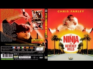 Ниндзя из беверли хилз / beverly hills ninja (1997)