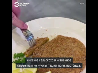 Шницель из углекислого газа