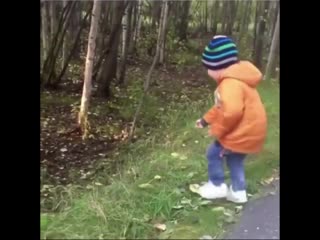 Позвал белочку