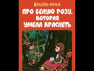 Про белую розу, которая умела краснеть (1982) молдова фильм