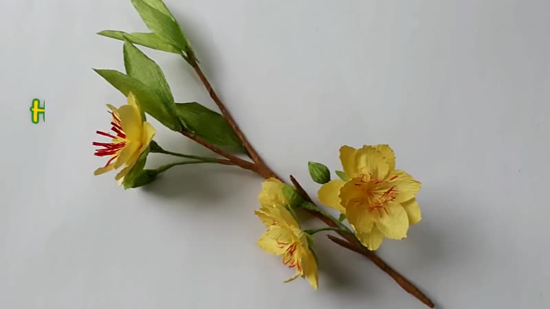 Diy how to make paper flower yellow apricot blossom làm hoa mai giấy nhún