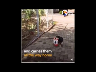 Безудержный шопинг