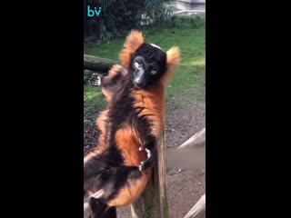 Это я жду обнимашек