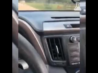 Плевок в лицо