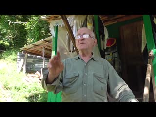 Каазские пчёлы