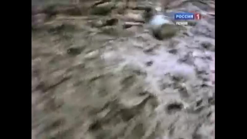 Гибель корреспондента валентин янус и майор 76 гвардейской дивизии вдв александр петрович осадчий в грозном, 14 января 1995 года