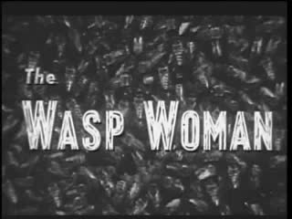 The wasp women 512kb mp4