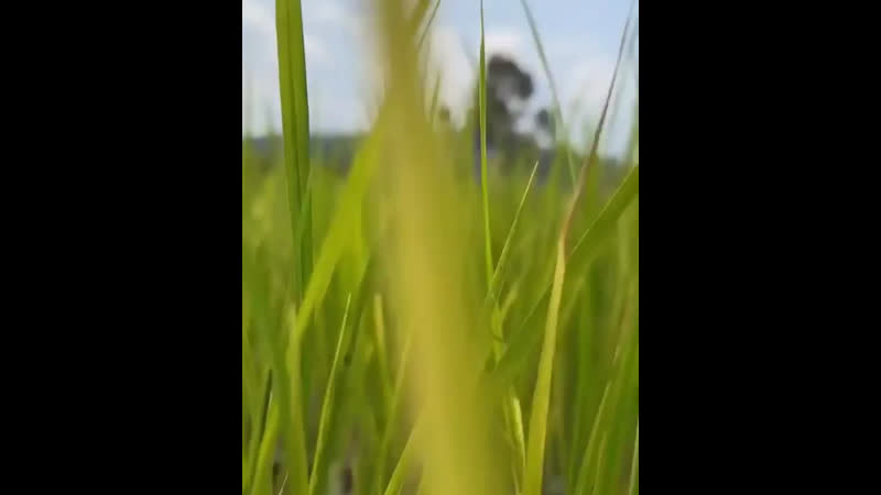 Urassaya porn video – Video by yaya urassaya sperbund ♡ яя урассая спербунд ♡