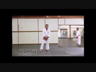 Isshinryu karate kata wansu master tsuyoshi uechi