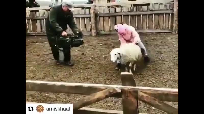 Девочка и баран