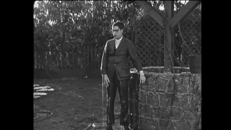 1922 бабушкин внучек / grandmas boy (nk)