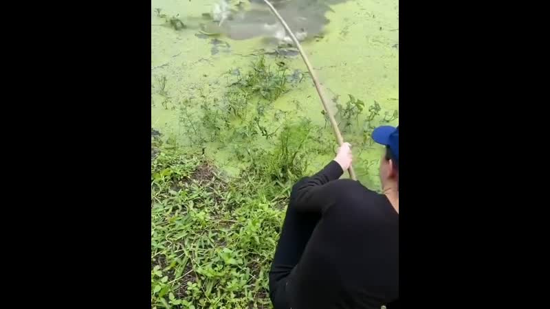 Мощная поклёа